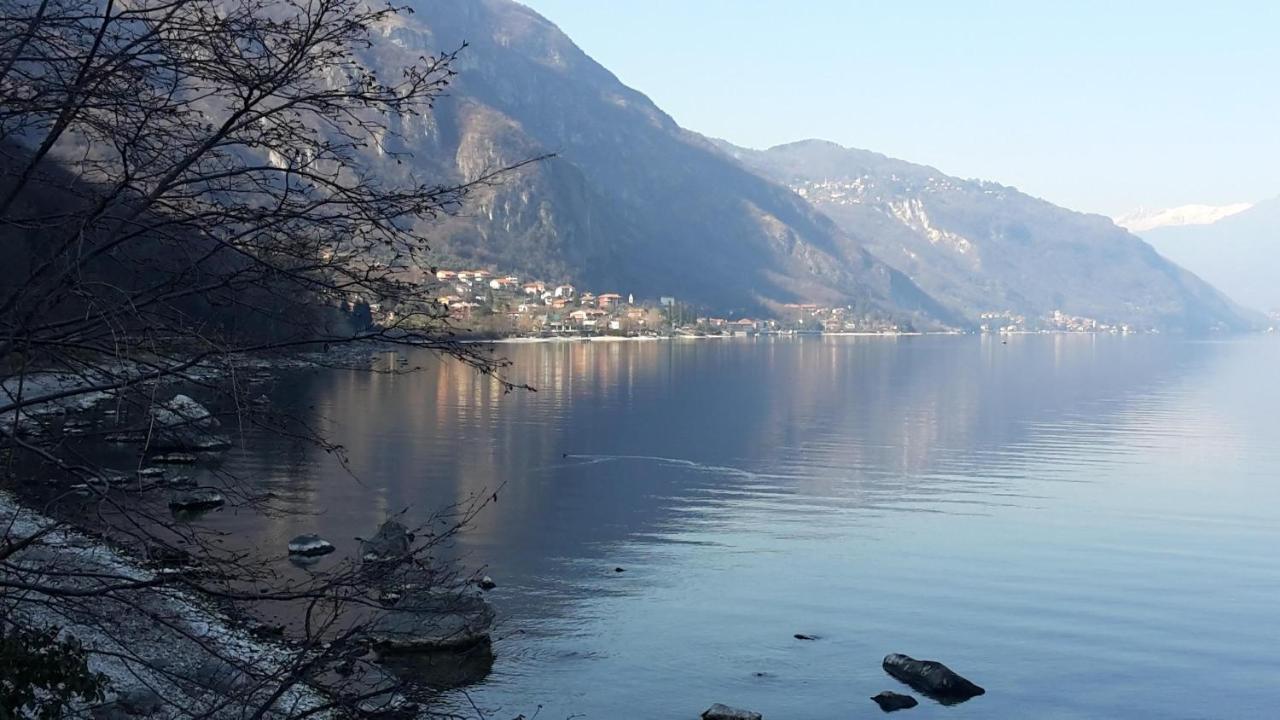 New Eleven Apartment On Como Lake Oliveto Lario 外观 照片